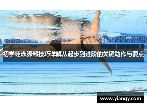 初学蛙泳脚部技巧详解从起步到进阶的关键动作与要点