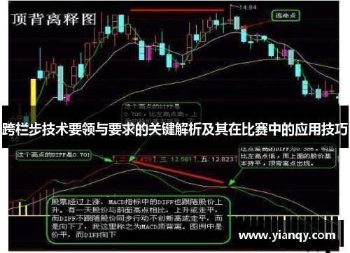 跨栏步技术要领与要求的关键解析及其在比赛中的应用技巧